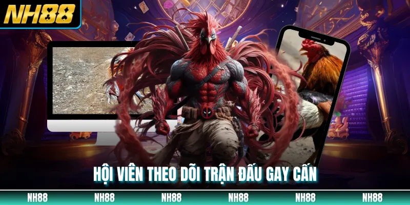 Hội viên theo dõi trận đấu gay cấn
